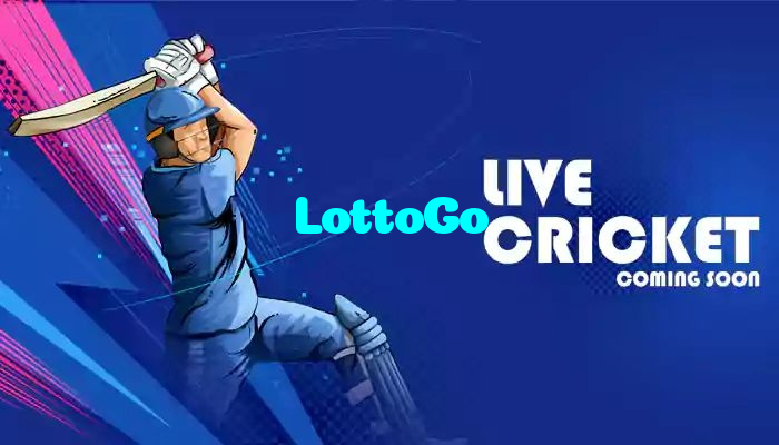 LottoGo خوش آمدید بونس +600% پیشکش موبائل ایپ کے پروموشن سیکشن میں دکھائی دیتی ہے۔